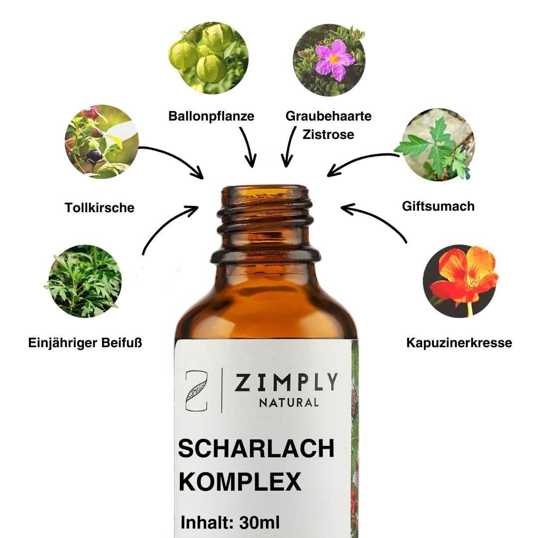 ZIMPLY NATURAL Scharlach Komplex