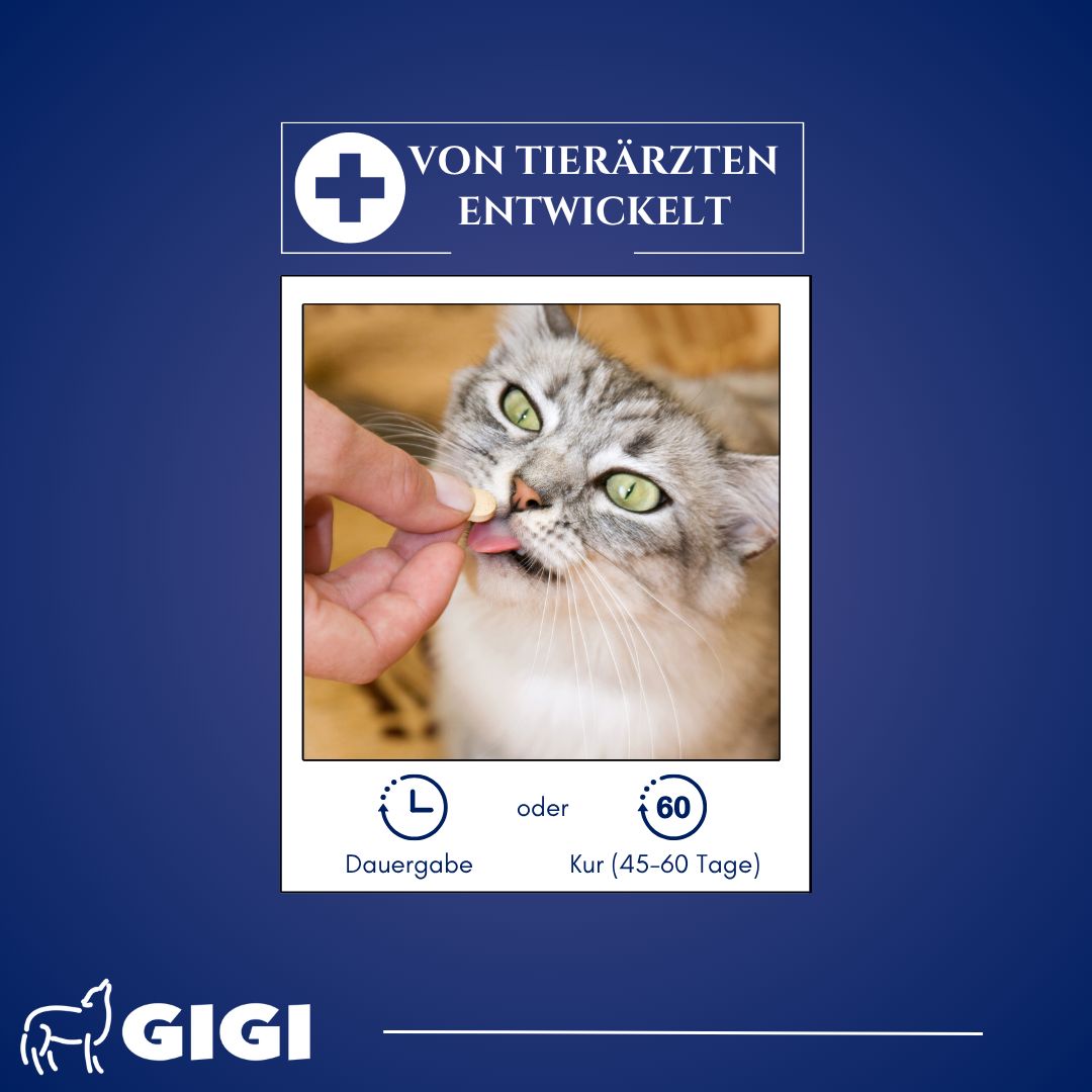 Katze bekommt Tablette. Text: Von Tierärzten entwickelt. Dauer- oder Kur-Gabe. GIGI Logo.