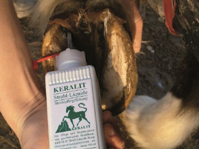 Keralit® Strahl-Liquid Flasche neben einem Pferdehuf.