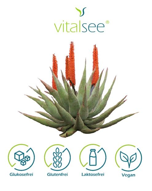 Vitalsee ALOE ferox 300 Extrakt