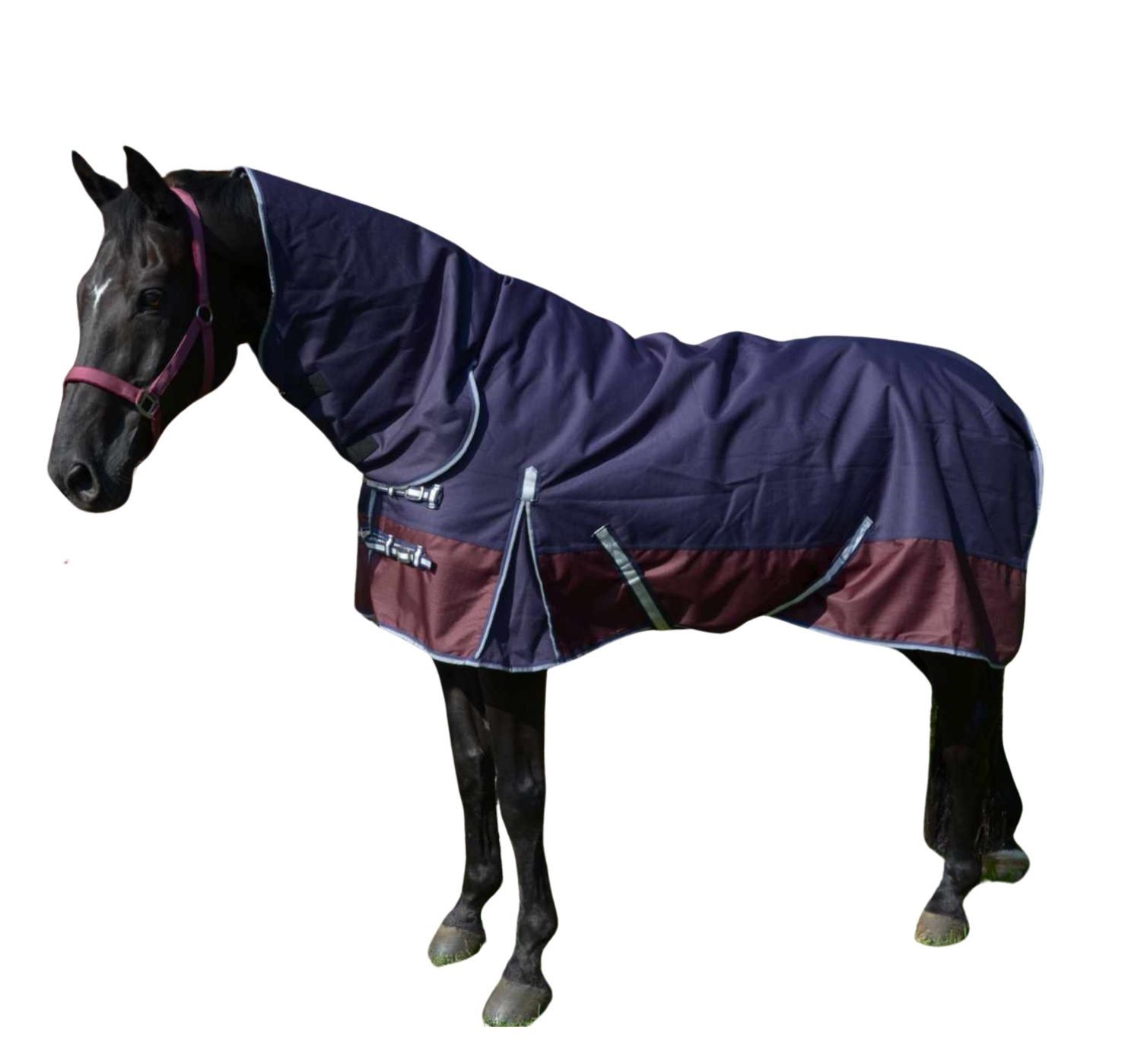 Pferdedecke, dunkelblau mit bordeauxfarbenem Saum. Silberne Schnallen. Auf einem Pferd stehend.
