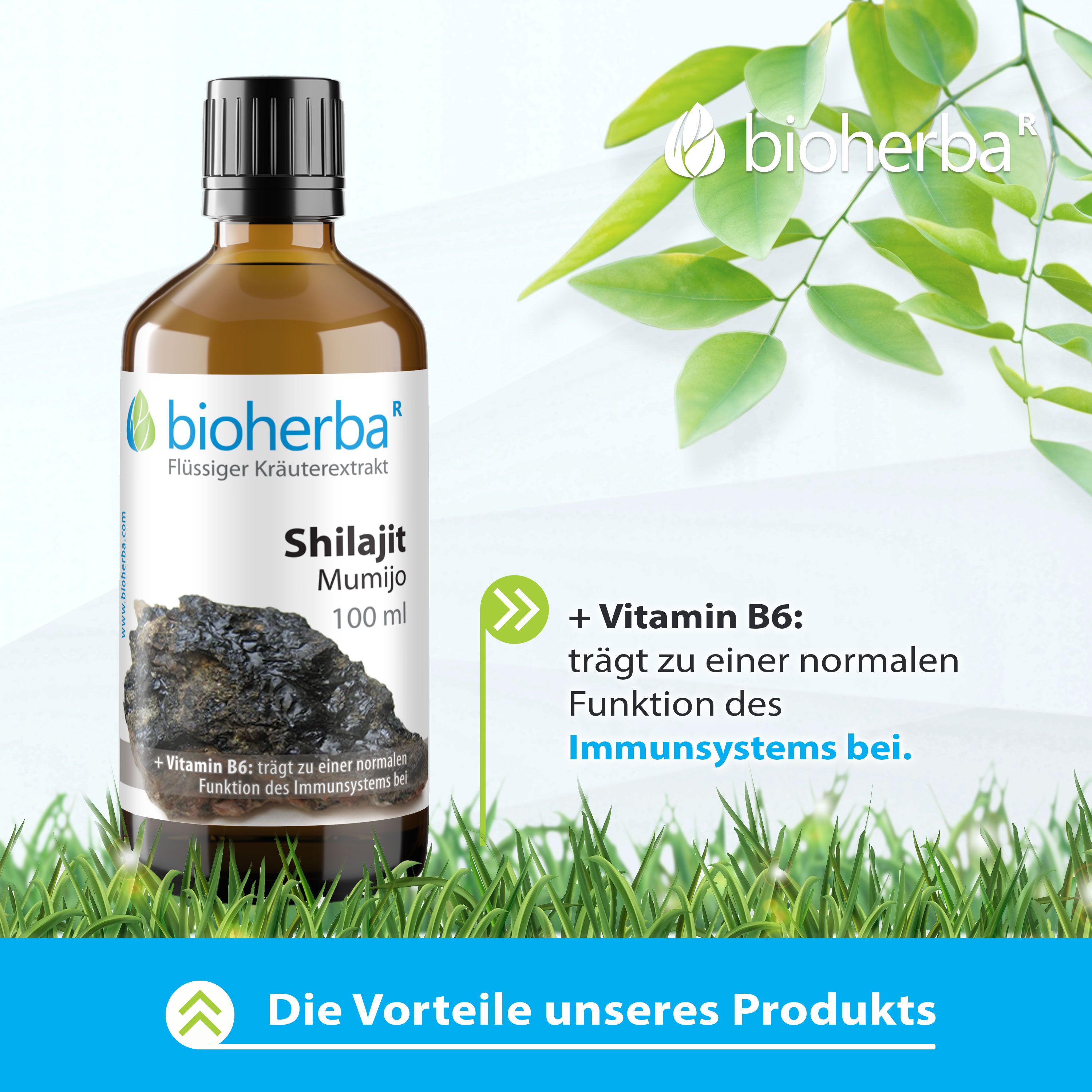 Braune Glasflasche mit schwarzem Deckel. Produktname und Logo. Hintergrund mit Blättern und Gras.