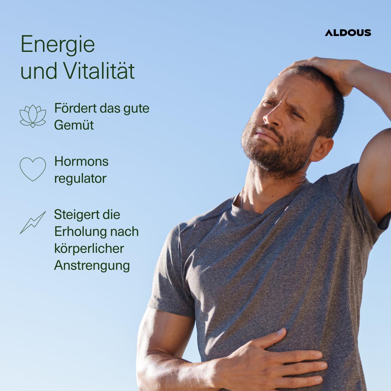 Aldous Reiner  Maca Extrakt Tabletten