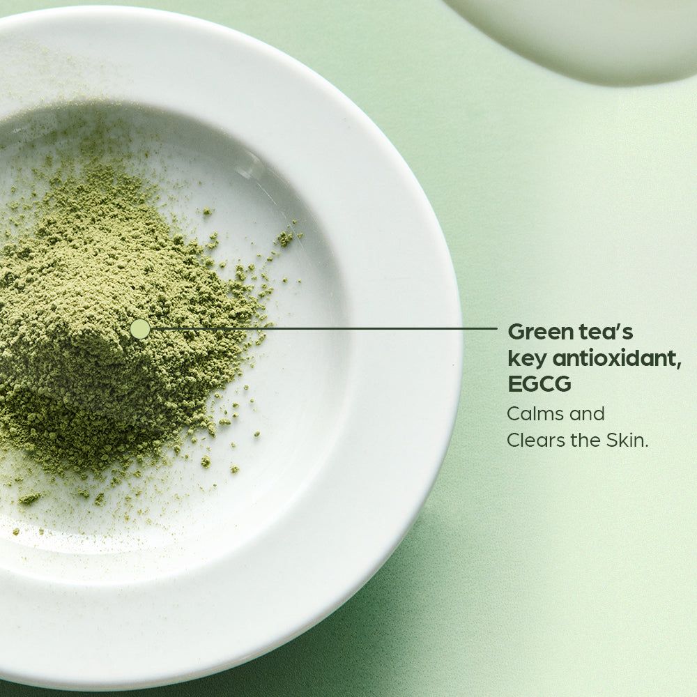 HOUSE OF HUR Phyto Brew Matcha Ampoule