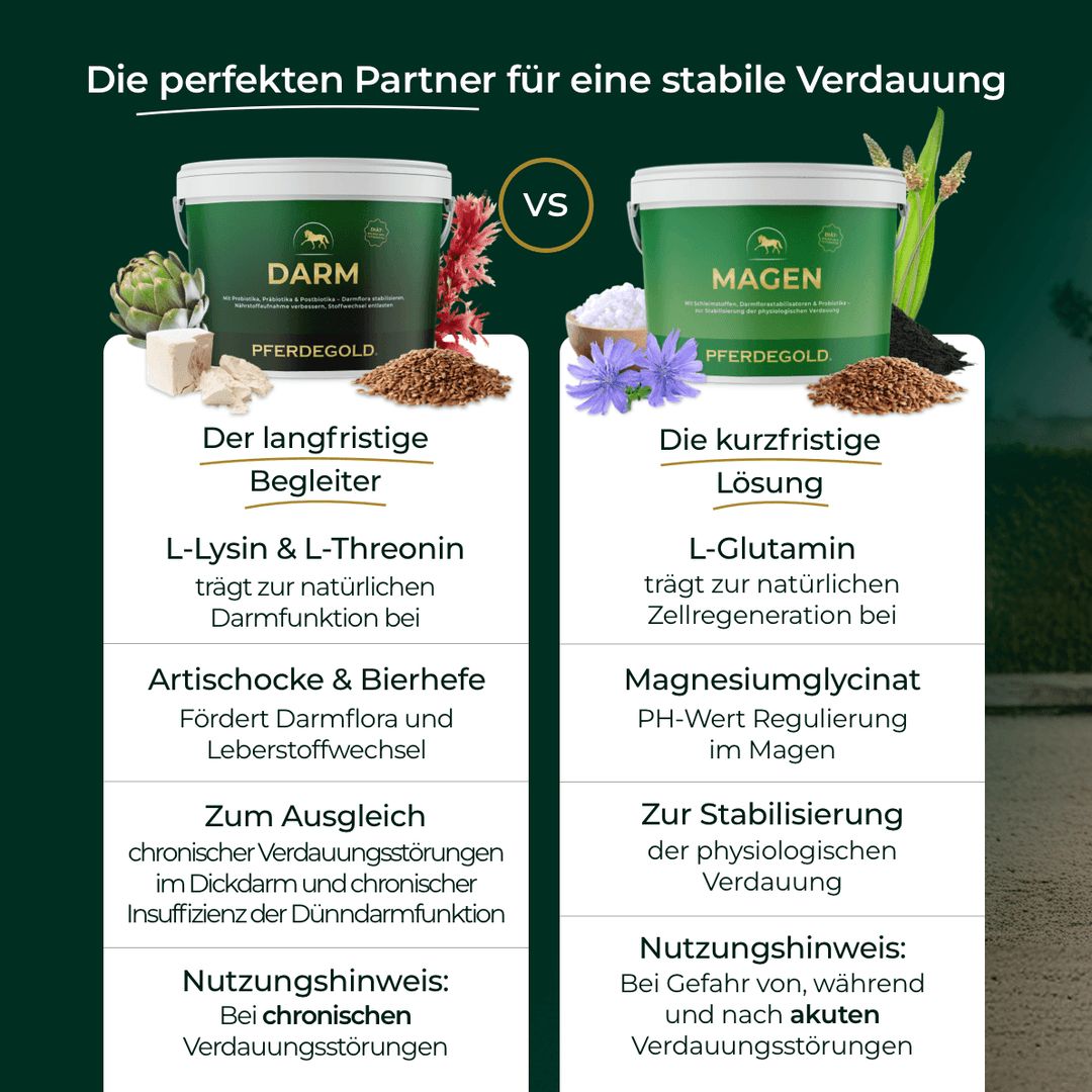 Vergleich von Pferdegold Darm und Magen. Beide Eimer mit Zutaten. Fokus auf Darmflora und Magensäureregulierung.