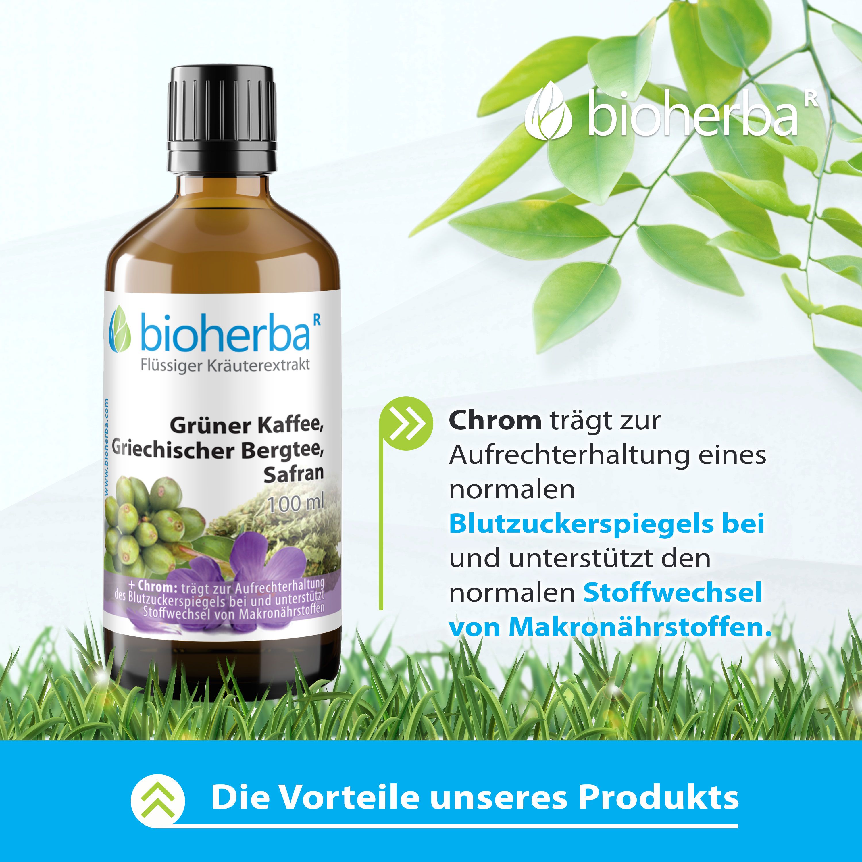 Braune Flasche mit Etikett. Grüner Kaffee, Griechischer Bergtee, Safran. Text: Chrom trägt zur Aufrechterhaltung des Blutzuckerspiegels bei.
