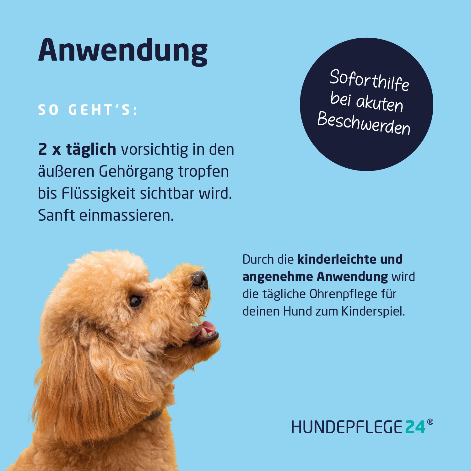 Anwendung: Text und Illustration eines Hundes. Blaue Schrift: 2x täglich tropfen. Schwarzer Kreis: Soforthilfe bei akuten Beschwerden.