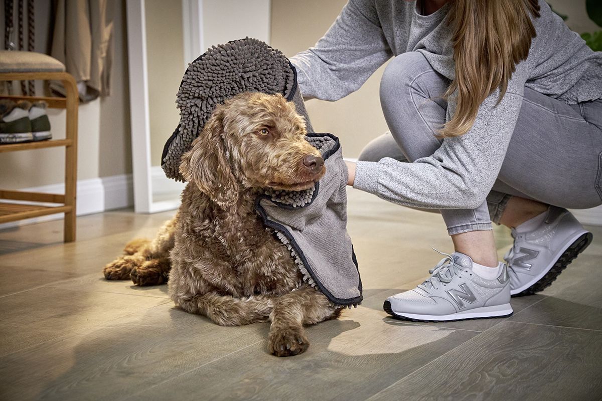 Person trocknet Hund mit grauem Handtuch. Hund sitzt auf dem Boden. Person kniet. Hintergrund: Tür, Schuhregal.