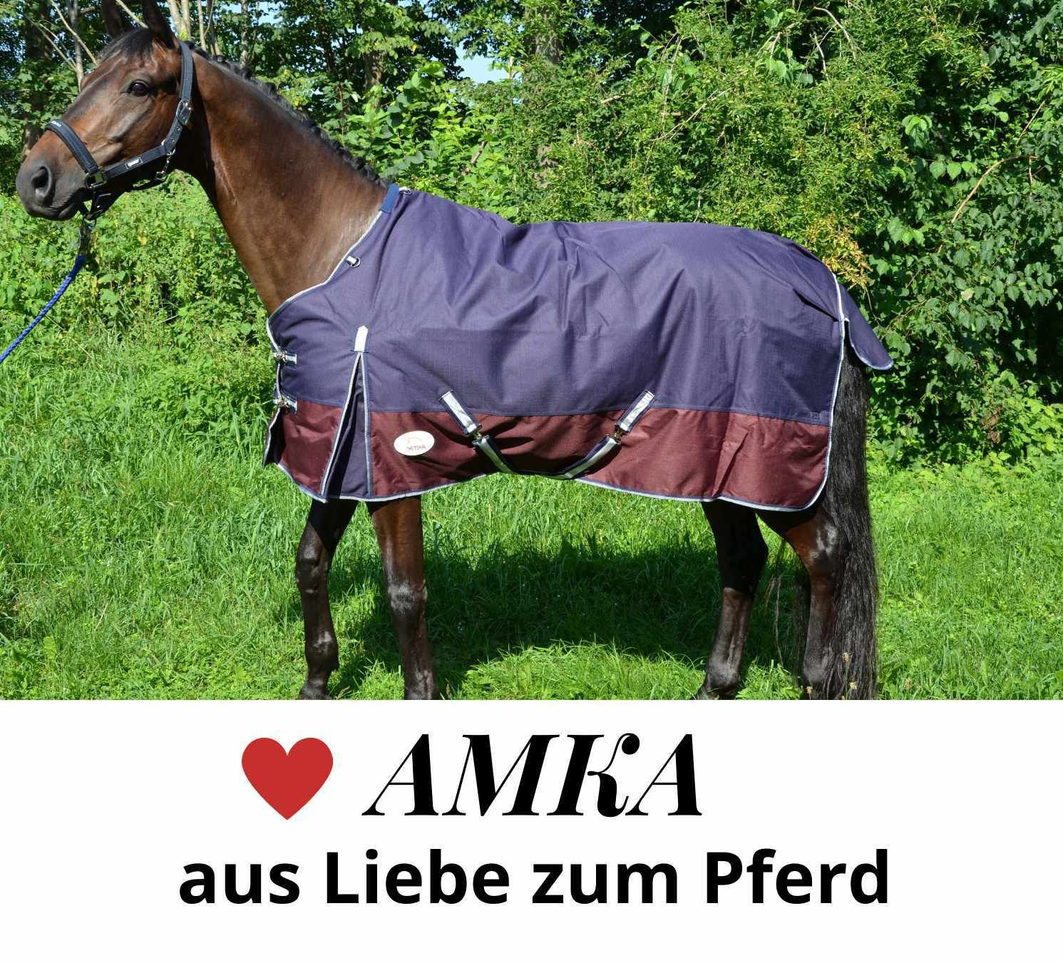 Pferd mit Decke. Text: AMKA, aus Liebe zum Pferd.