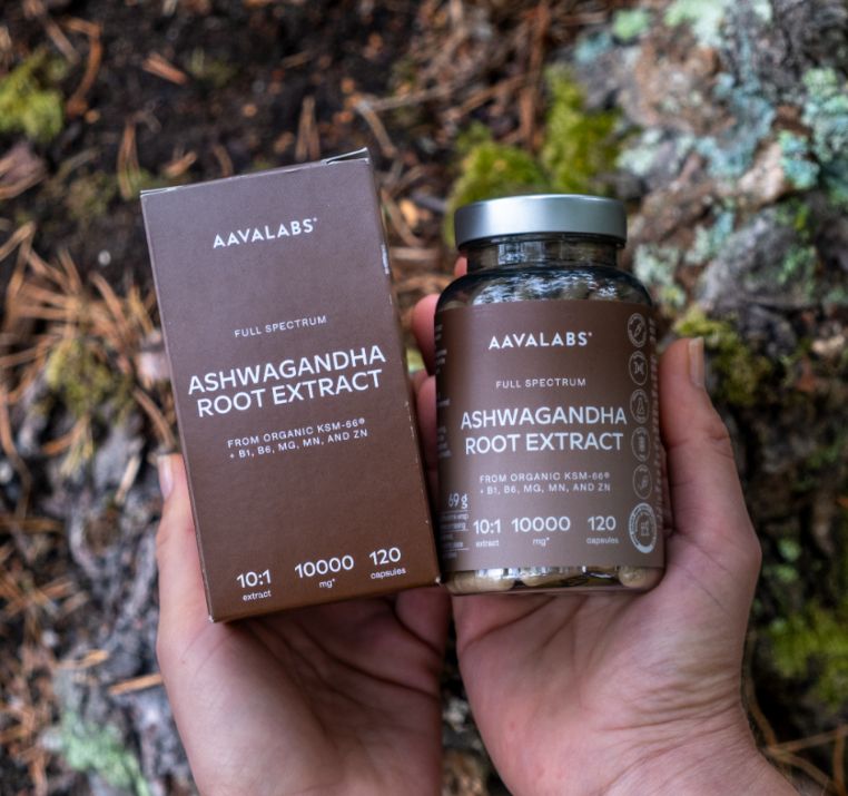 Hände halten Aavalabs Ashwagandha KSM 66 Flasche und Karton in natürlicher Umgebung.