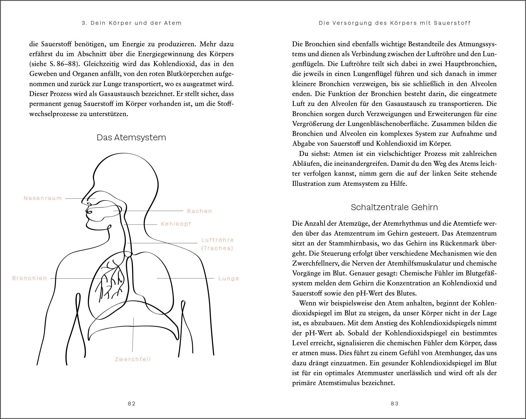 Buchseite: Anatomische Zeichnung des Atemsystems. Beschriftungen: Lunge, Bronchien, Zwerchfell, etc. Text über Sauerstoff.