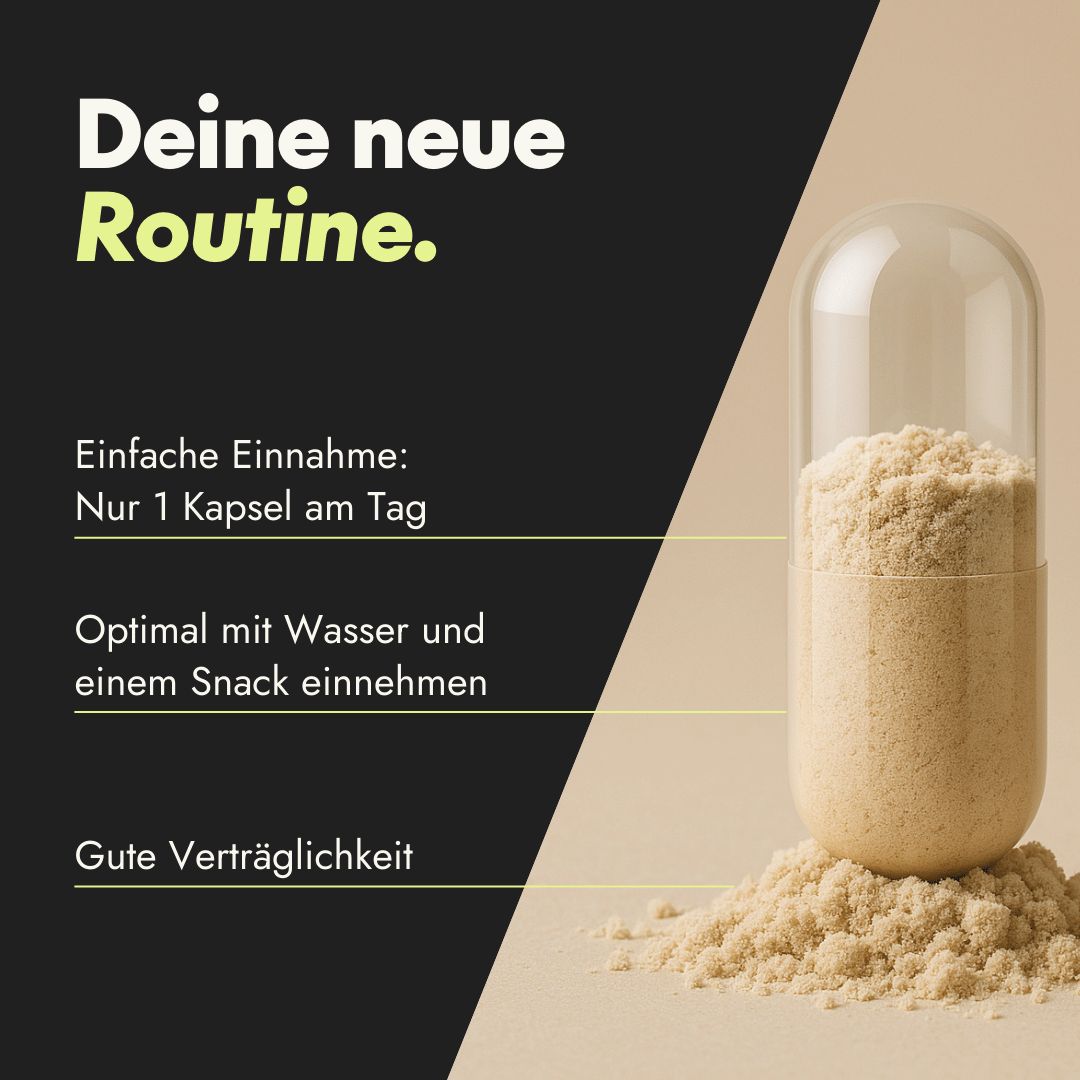 Geöffnete Kapsel mit braunem Pulver. Text: Einfache Einnahme: Nur 1 Kapsel am Tag. Optimal mit Wasser und einem Snack einnehmen.
