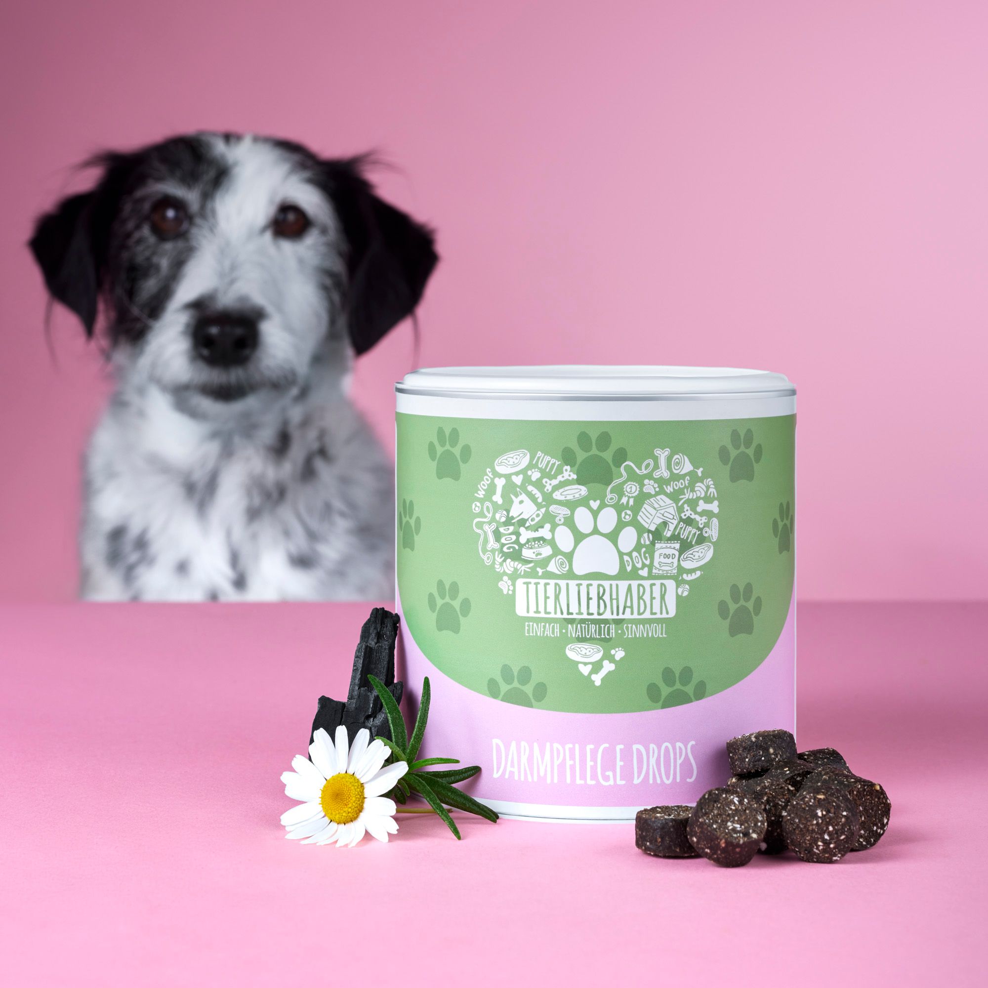 Hund vor rosa Hintergrund. Dose mit Tierliebhaber Darmpflege Drops. Daneben Kräuter, Kamille und Drops.