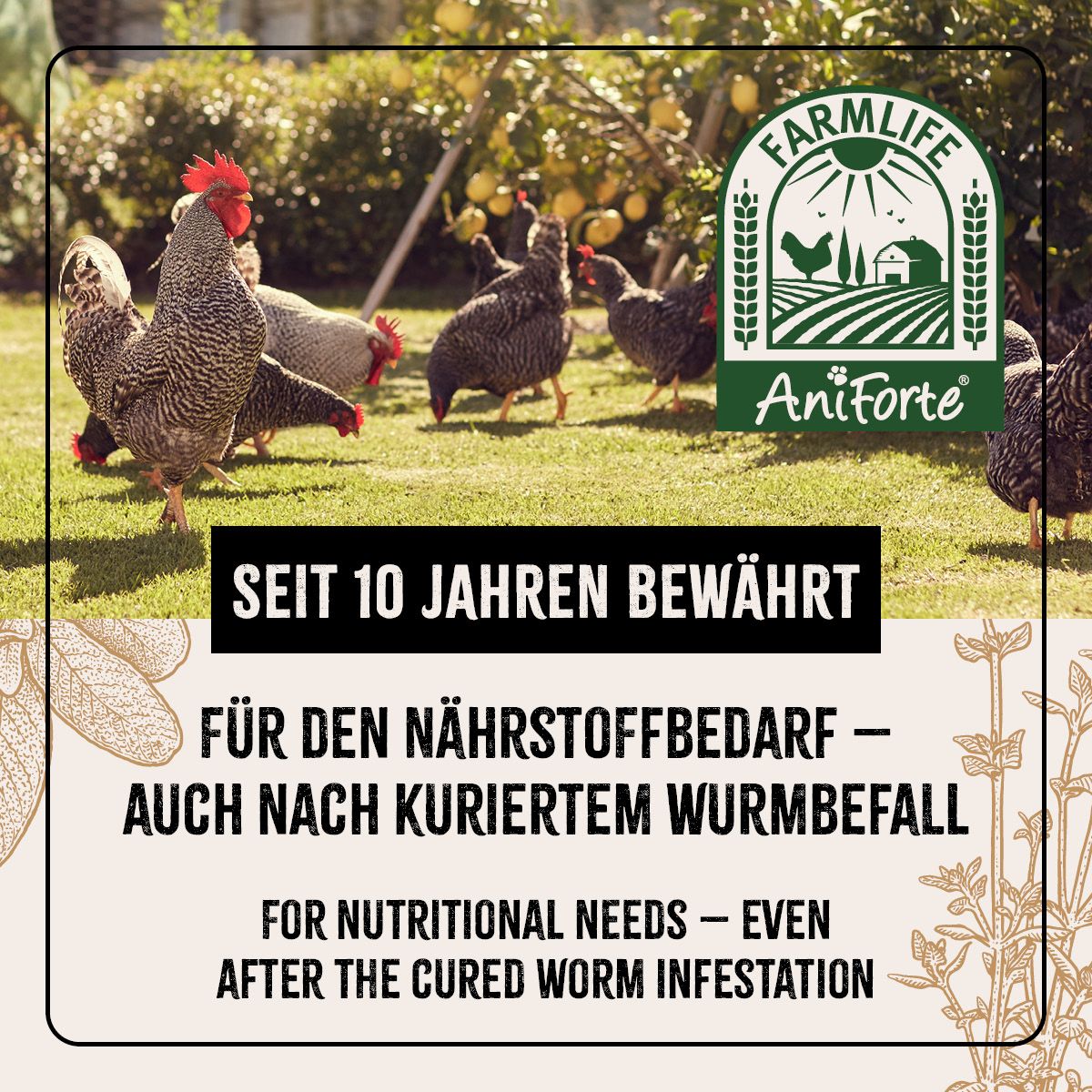 Hühner auf einer Wiese. Text: Seit 10 Jahren bewährt. Für den Nährstoffbedarf - auch nach kuriertem Wurmbefall. FarmLife AniForte.