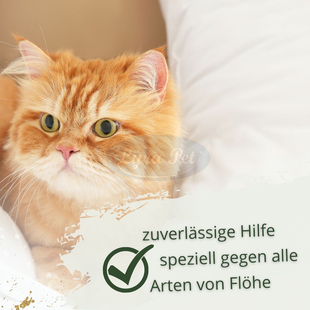 IPERON® SPOT-ON Katzen