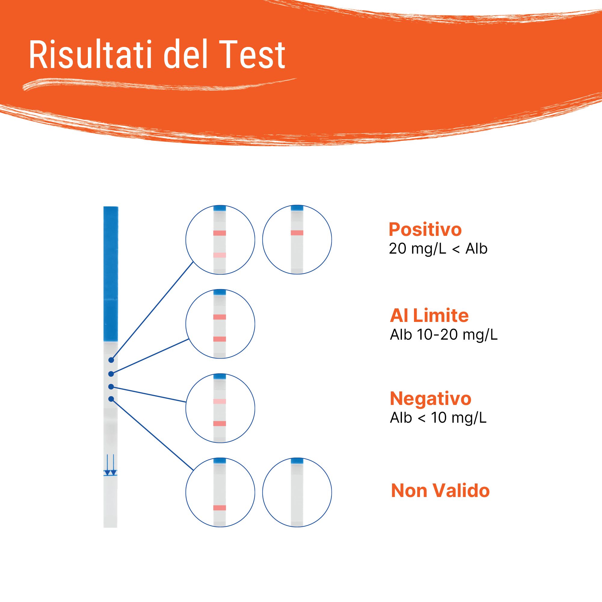 Patris Health® Nierenfunktions-Selbsttest (Albumin)