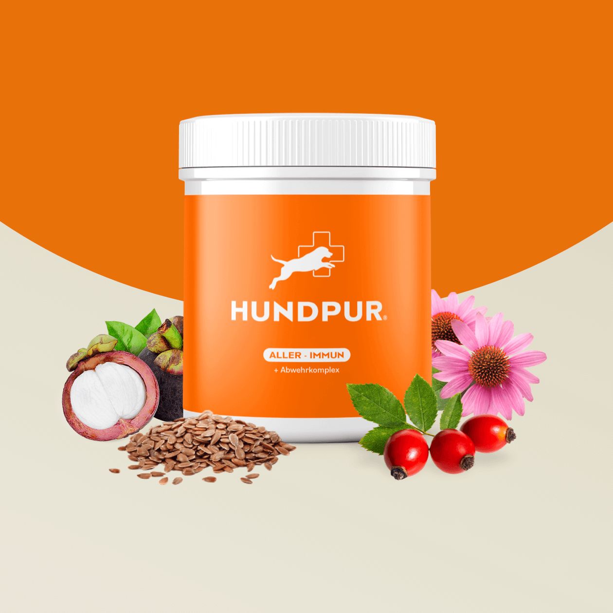 Orange Dose HUNDPUR ALLER-IMMUN. Daneben Mangostan, Sonnenhut, Leinsamen, Hagebutten. Weißer Deckel.