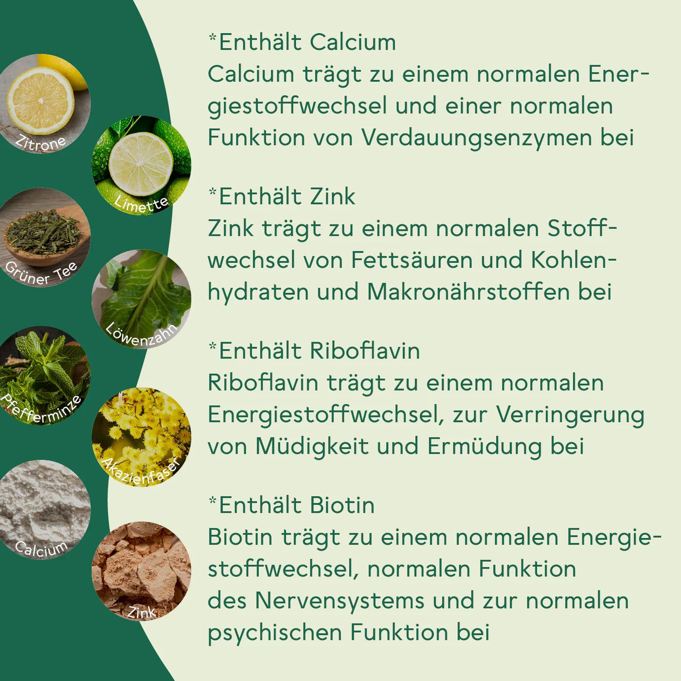 Grafik mit Zutaten und deren Wirkung. Zitrone, Limette, Grüner Tee, Löwenzahn, Pfefferminze, etc. Text: Enthält Calcium, Zink, etc.