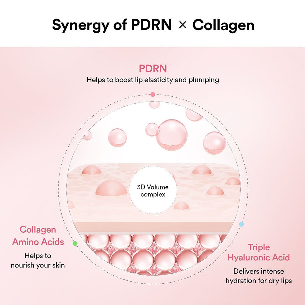 Abib PDRN Collagen Lippenmaske Glazed Jelly: Schema der Inhaltsstoffe und ihrer Wirkung.