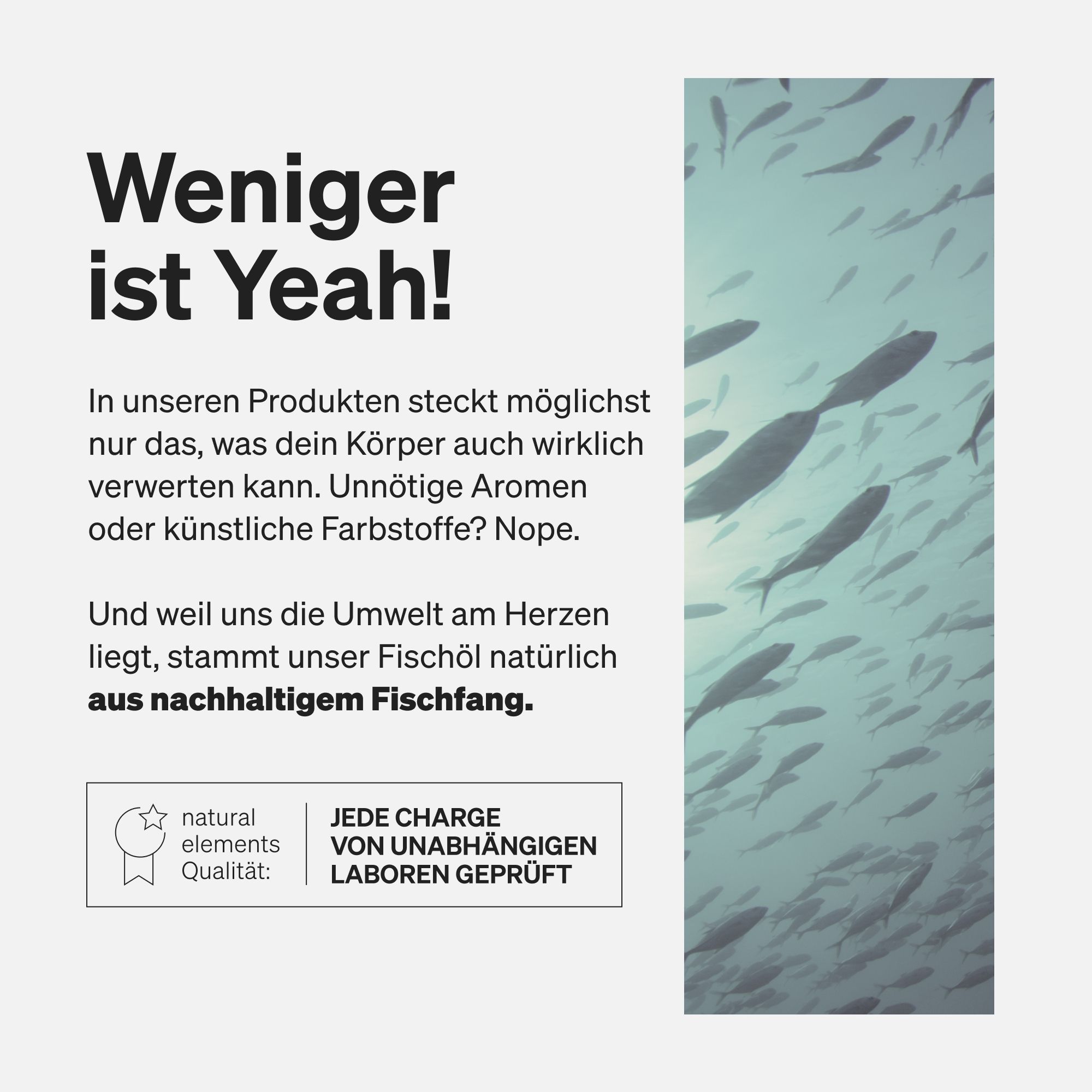 Text auf weißem Hintergrund. Überschrift: Weniger ist Yeah! Text über nachhaltigen Fischfang.