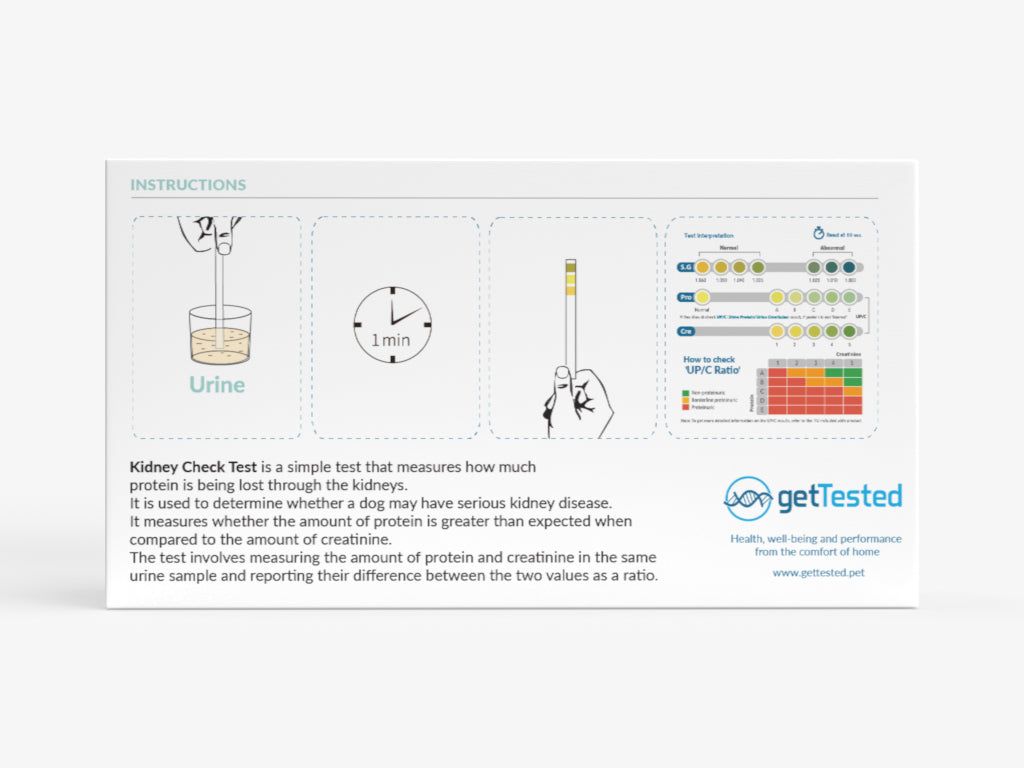 Verpackung mit Illustrationen und Text. Enthält Anweisungen zur Durchführung eines Nierentests für Hunde. Marke: GetTested.