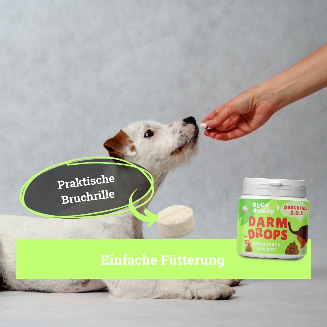 BeG Buddy Magen & Darm Drops für Hunde, Verdauung