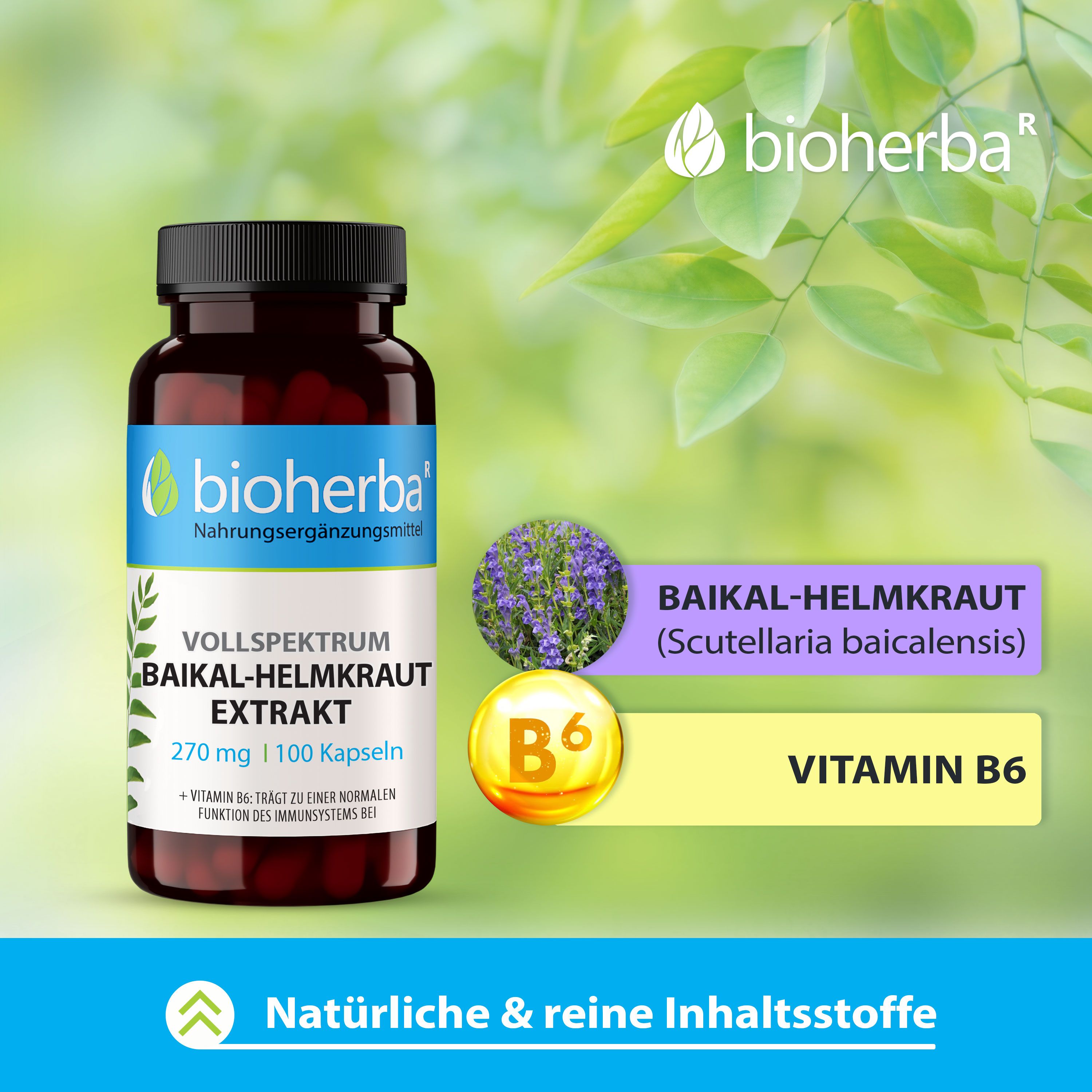 Produktflasche mit Illustrationen von Baikal-Helmkraut und Vitamin B6. Marke und Produktname sichtbar.