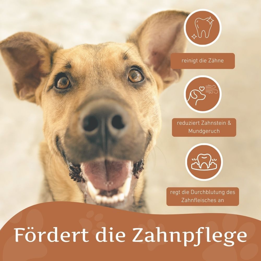 Ein Hund mit offenem Maul. Text: Fördert die Zahnpflege. Icons: Zähne reinigen, Zahnstein reduzieren, Zahnfleischdurchblutung.