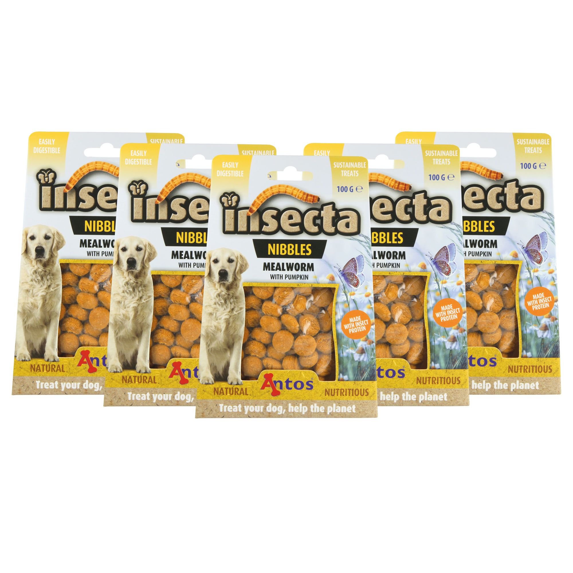 Insecta Nibbles Mealworm (Mehlwurm und Kürbis) Hundekekse - hochwertiges Protein