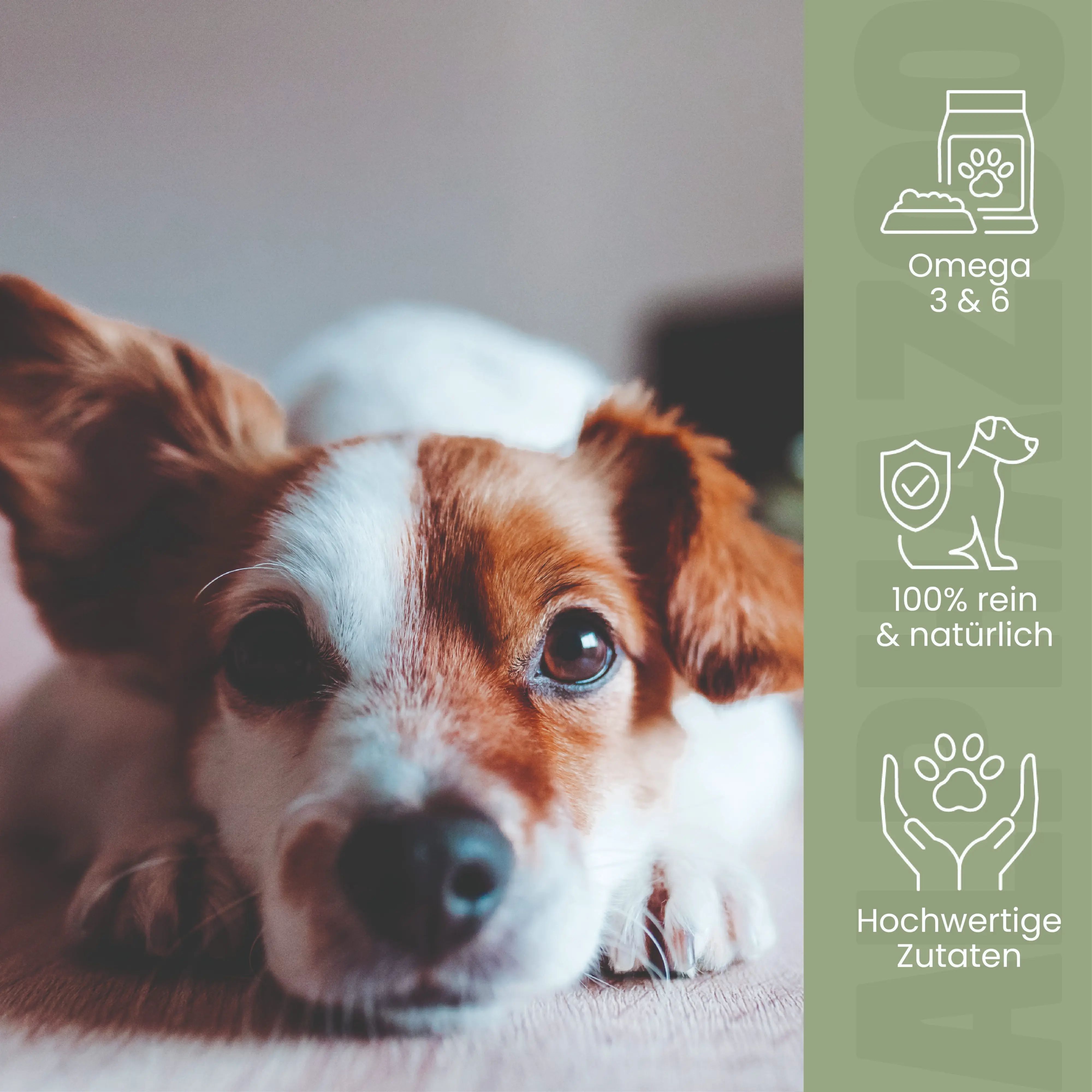 Hund liegt. Text: Omega 3 & 6, 100% rein & natürlich, hochwertige Zutaten.