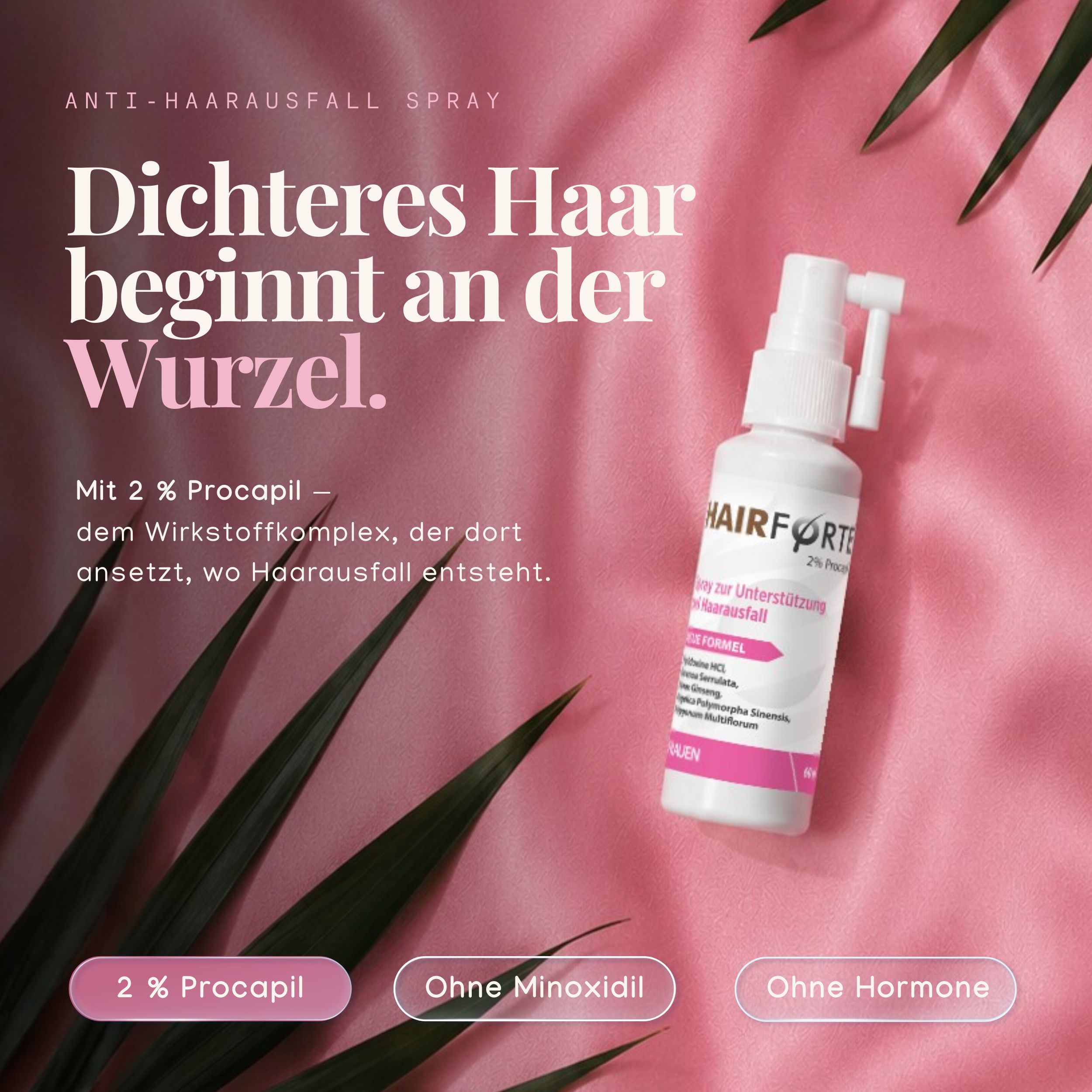 Hairforte Spray 2% Procapil auf rosa Hintergrund mit Palmblättern.