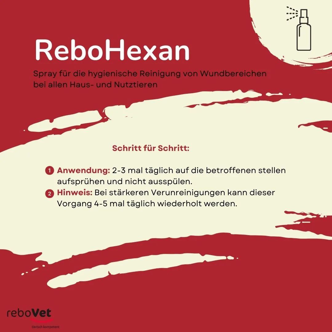 Anleitung für REBOHEXAN Spray: Anwendung und Hinweise auf rotem Hintergrund.