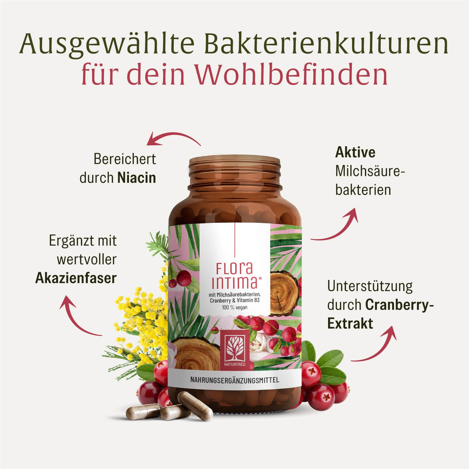 Grafik mit Produktflasche und Pfeilen. Text: Ausgewählte Bakterienkulturen für dein Wohlbefinden.