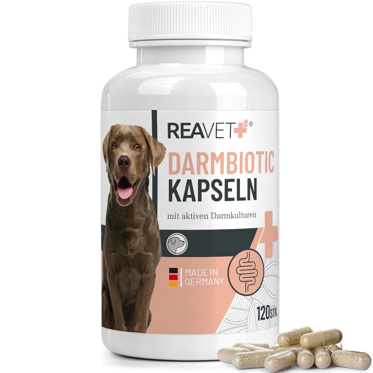 Darmbiotic Kapseln - ReaVET