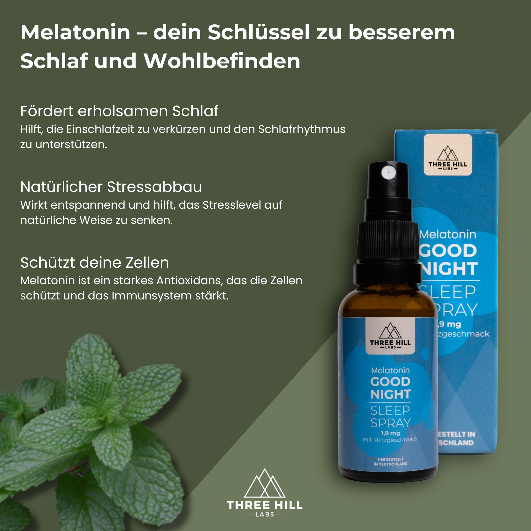 Produkt mit Sprühflasche und Schachtel. Text: Melatonin Good Night Sleep Spray, 1,9 mg. Mit Minzgeschmack. Grün-weißer Hintergrund mit Minze.