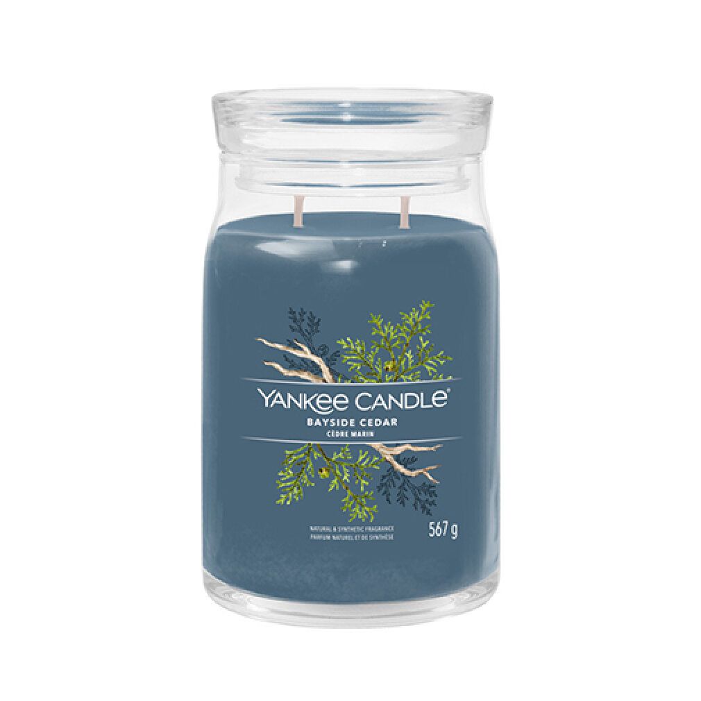 Glasbehälter mit blauem Wachs und Deckel. Aufschrift: Yankee Candle Bayside Cedar. 567 g.