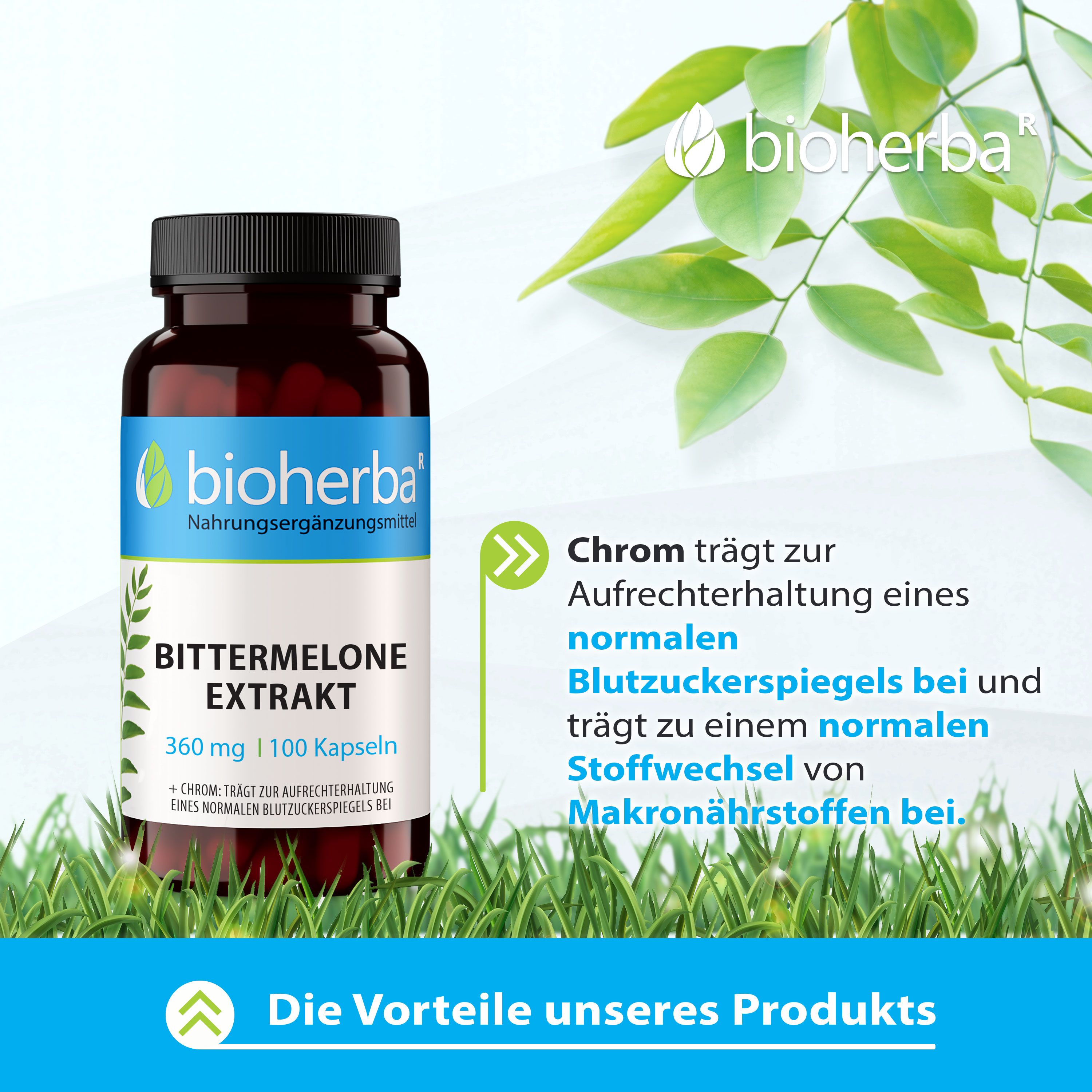 Braune Flasche mit schwarzen Deckel. Bittermelone Extrakt Kapseln, 100 Kapseln. Produkt auf Gras, grüne Blätter im Hintergrund.