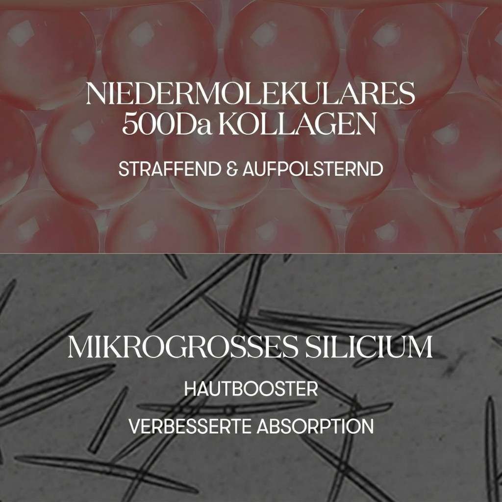 Mikroskopische Ansicht von rosa Kugeln und Nadeln. Text: Niedermolekulares 500Da Kollagen, straffend & aufpolsternd. Mikrogroßes Silicium.