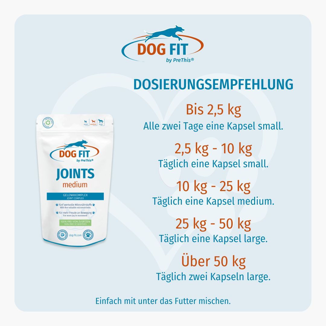 DOG FIT by PreThis® JOINTS & VITAMIN B Kombiset (medium)