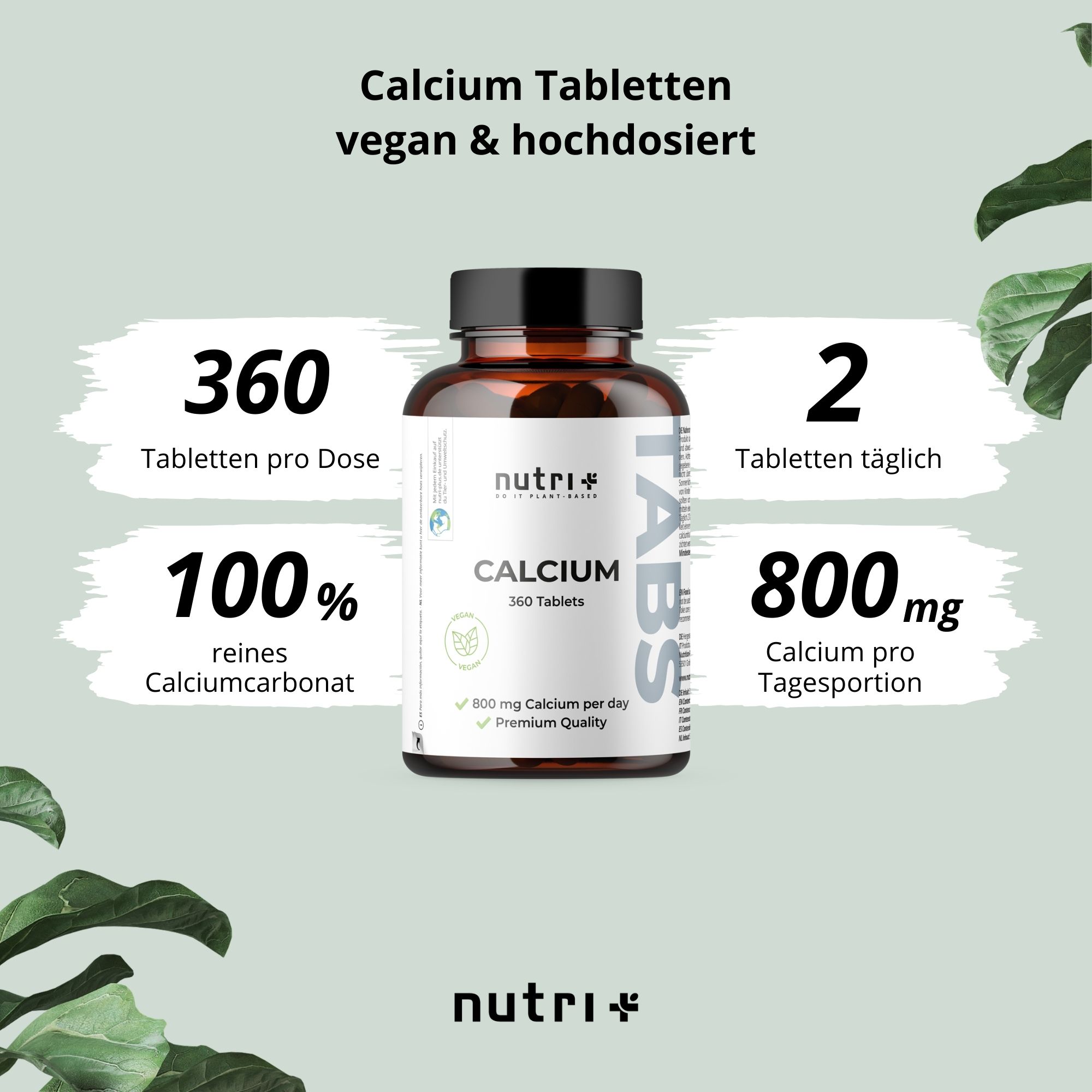 Grafik mit Flasche "Calcium 360 Tabletten" und Texten: 360 Tabletten pro Dosis, 2 Tabletten täglich, 100% reines Calciumcarbonat, 800mg Calcium pro Tagesportion.
