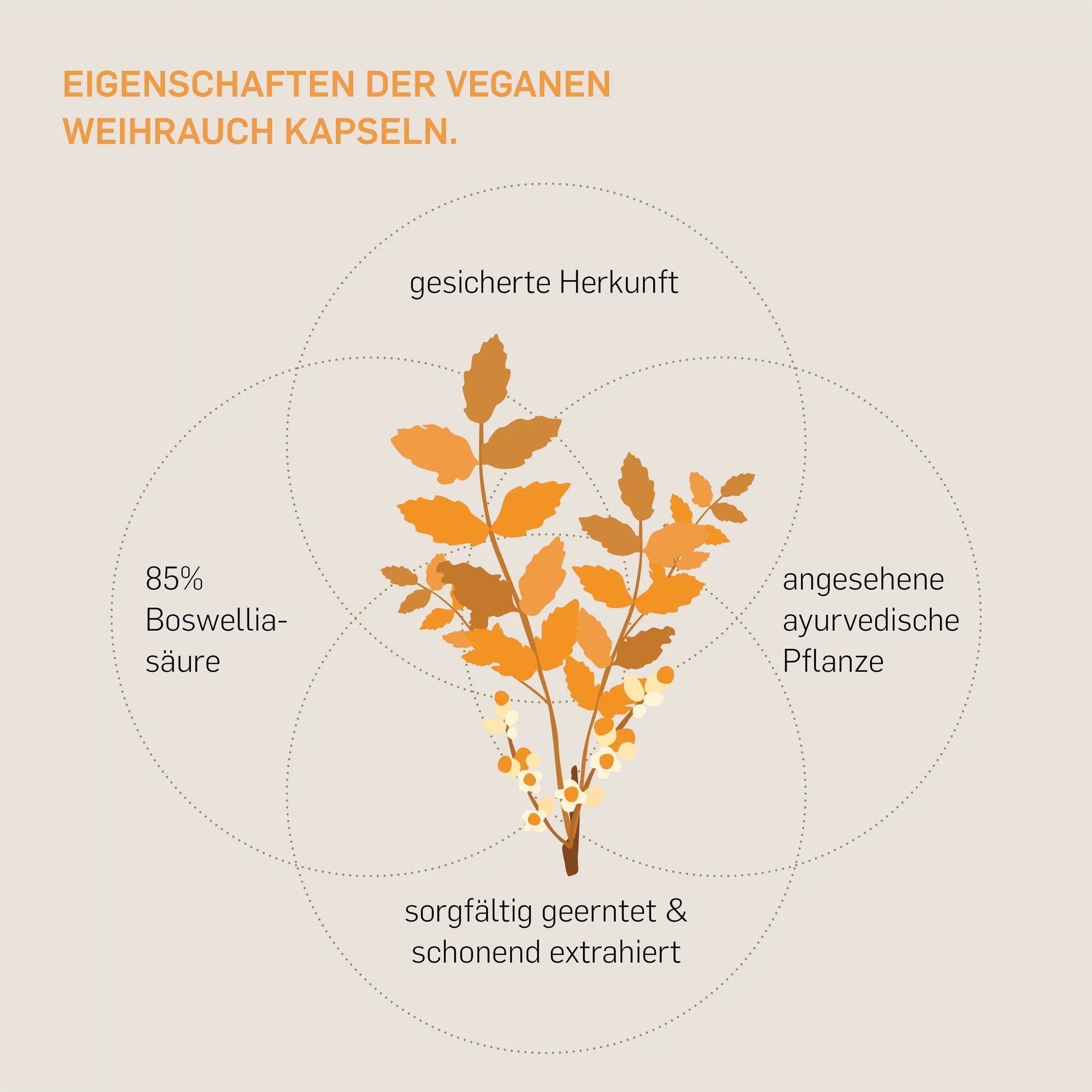 Grafik mit Blattwerk und Kreisen: Gesicherte Herkunft, 85% Boswelliasäuren, ayurvedische Pflanze.