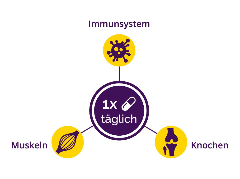 Grafik mit Symbolen für Immunsystem, Muskeln und Knochen, verbunden mit einer Kapsel und dem Text "1x täglich".
