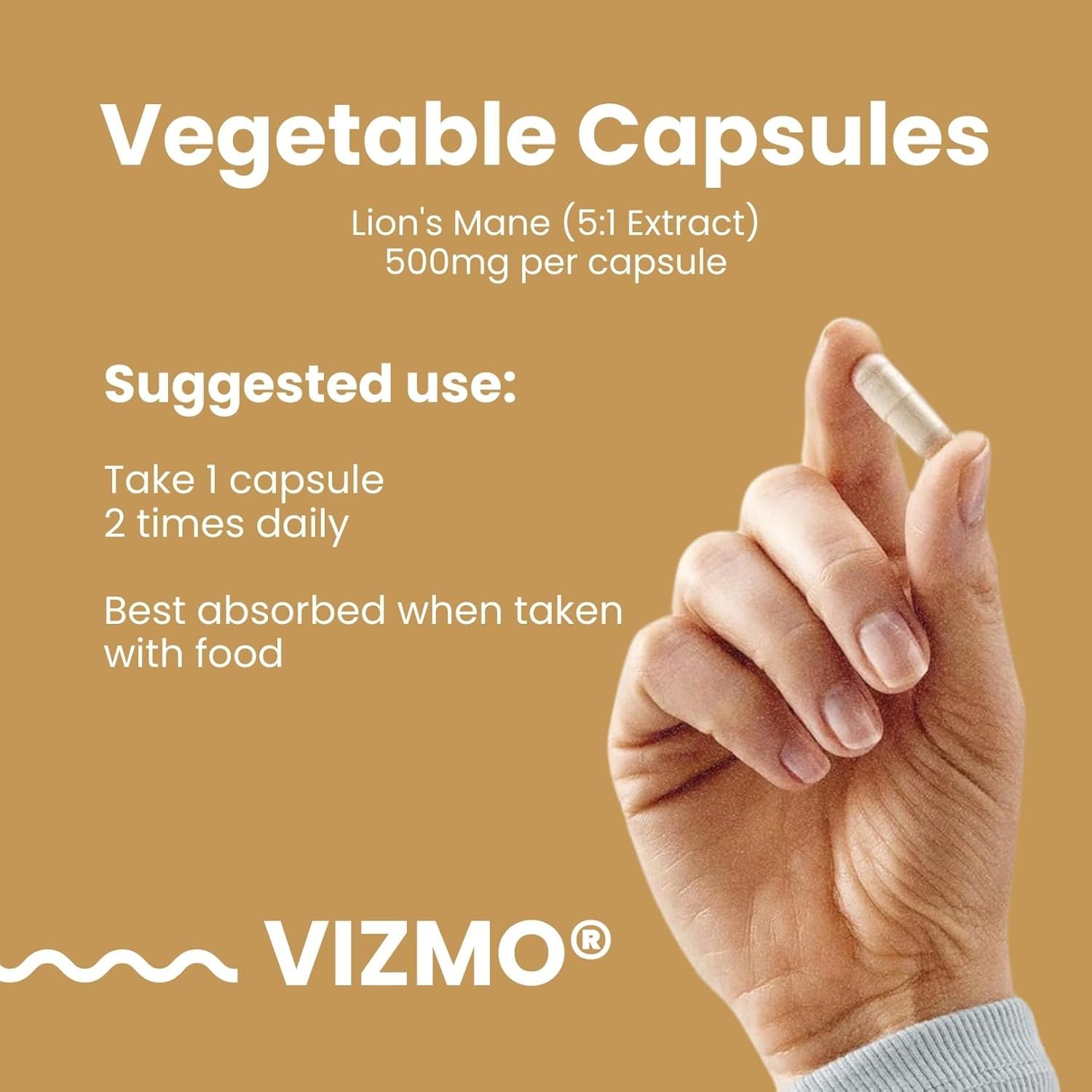 Hand hält Kapsel. Text: "Vegetable Capsules", "Lion's Mane", "500mg per capsule", "VIZMO". Einnahmeempfehlung.