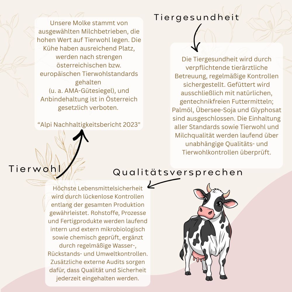 Infografik mit Kuh-Illustration. Texte zu Tierwohl, Tiergesundheit und Qualitätssicherung. Alpi Nachhaltigkeitsbericht 2023.