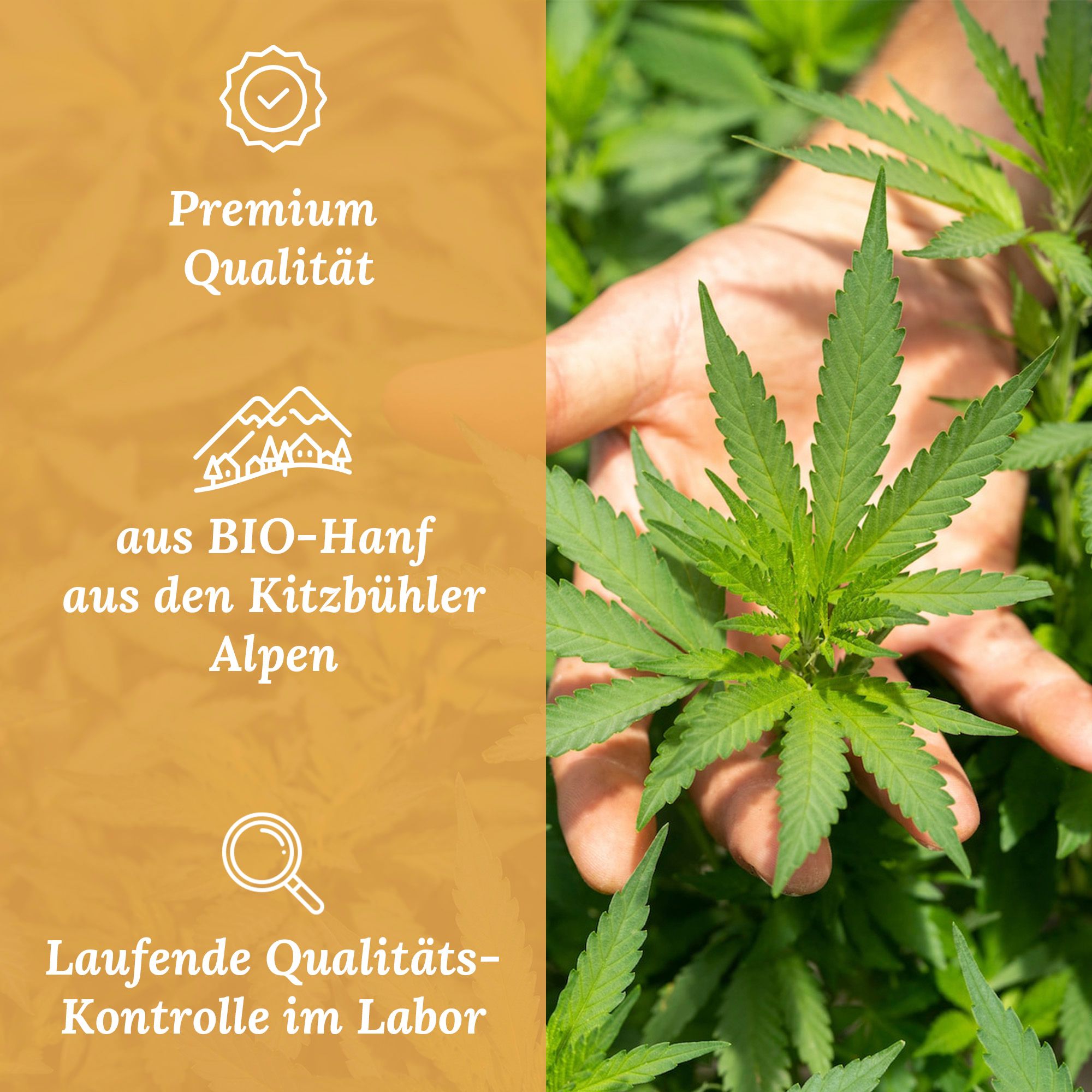 NaturBlut CBD Hanfblütentee