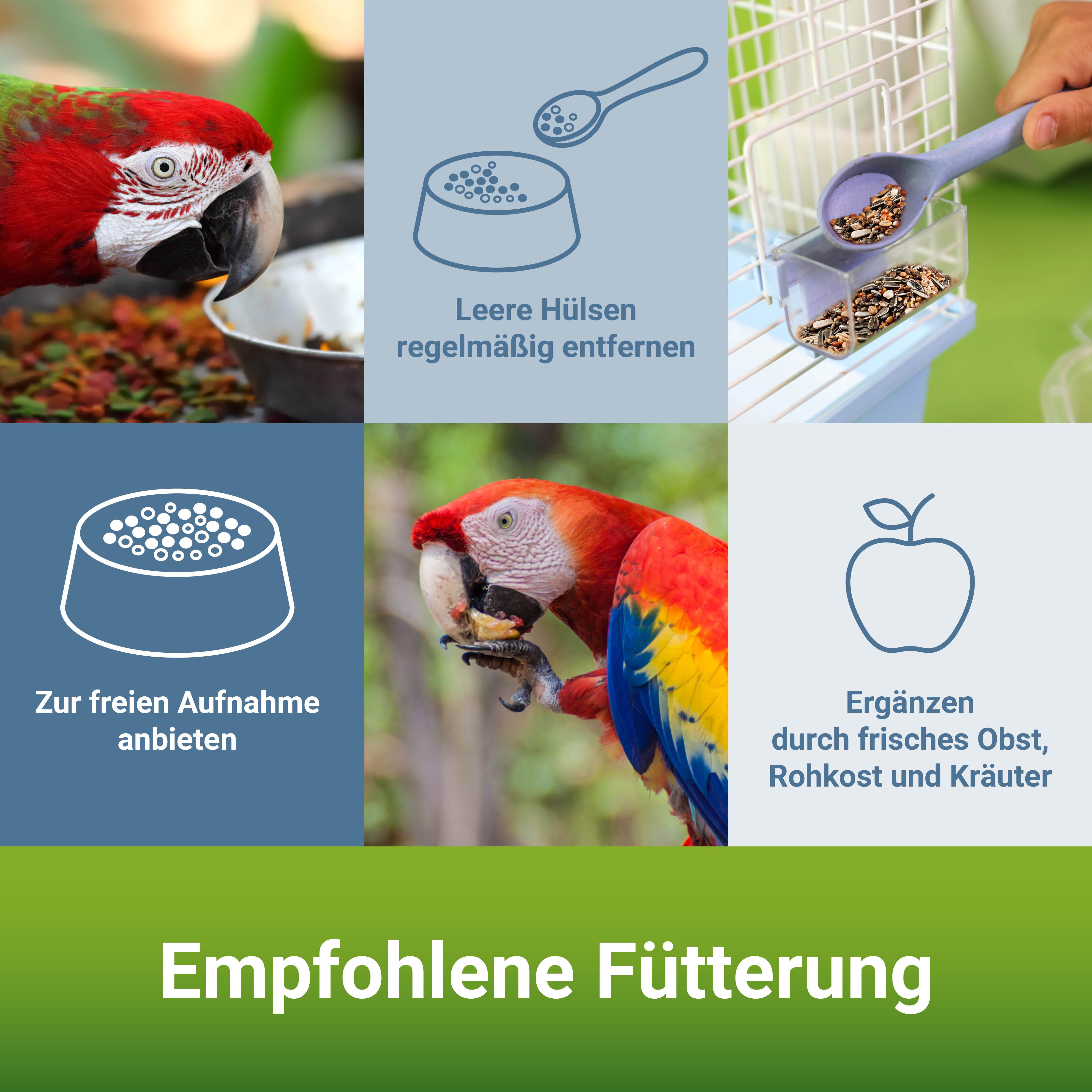PANTO® Papageienfutter mit Pluramin®
