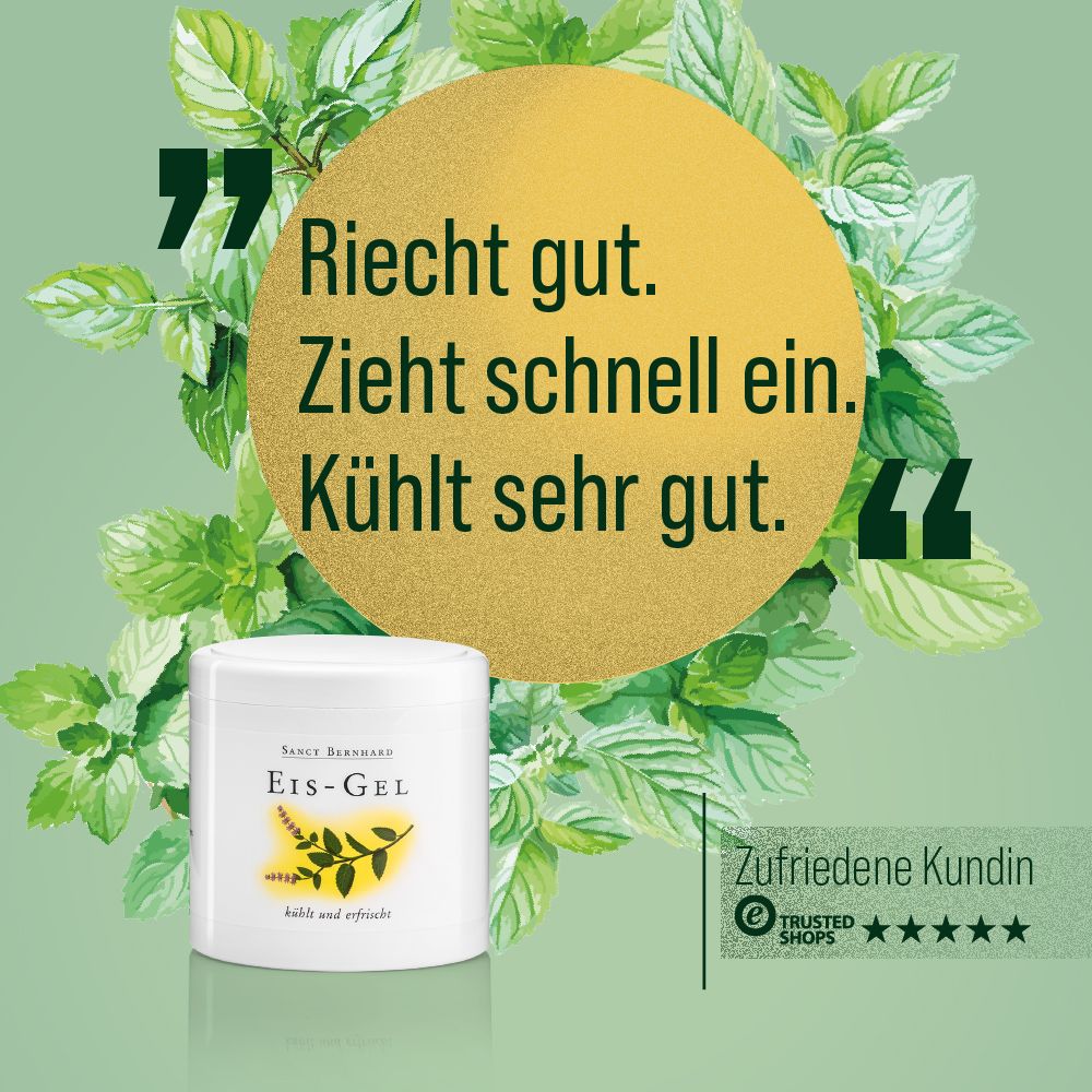 Weißes Tiegel mit Eis-Gel. Text: Sanct Bernhard Eis-Gel. Zitat: Riecht gut, zieht schnell ein, kühlt sehr gut. Hintergrund: Blätter.
