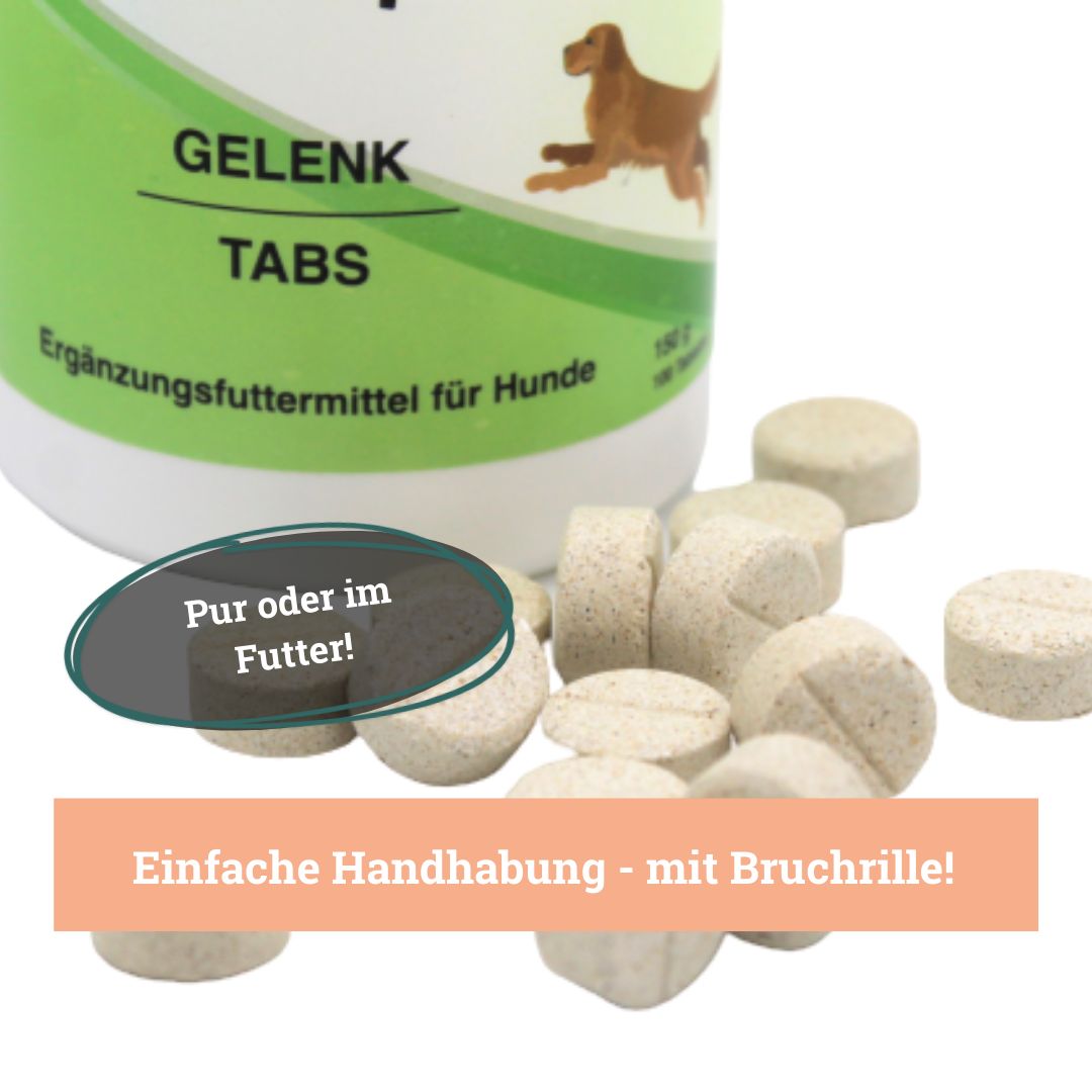 Tabletten neben einer Dose. Text: Pur oder im Futter! Einfache Handhabung - mit Bruchrille!