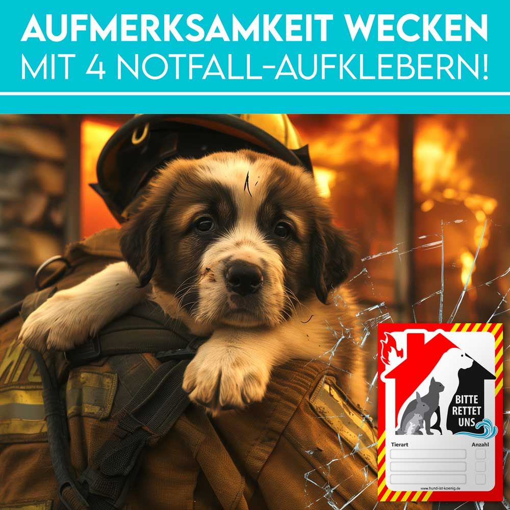 HUND IST KÖNIG® Notfall-Aufkleber zur Haustier-Rettung
