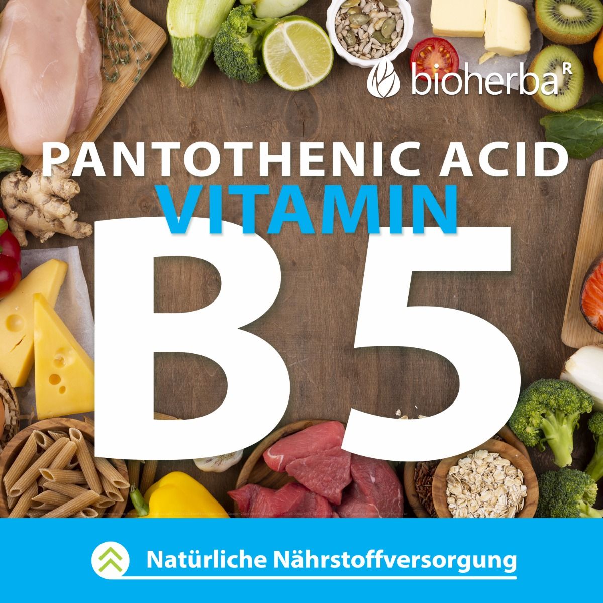 Draufsicht auf Lebensmittel: Gemüse, Fleisch, Käse, Getreide. Text: Pantothensäure, Vitamin B5. Bioherba-Logo.